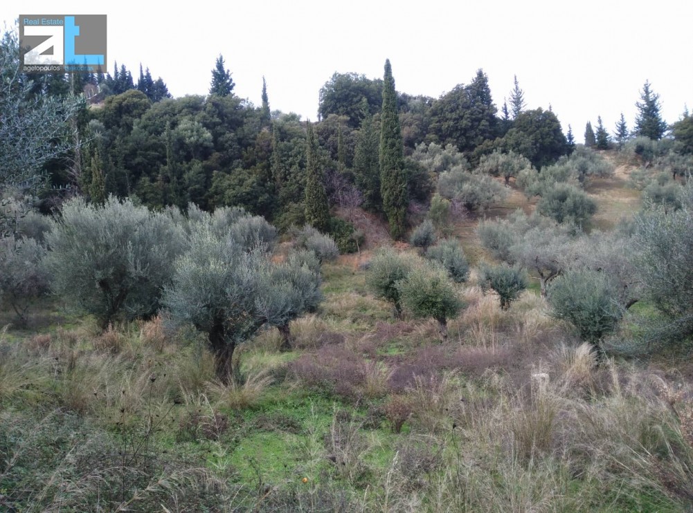 Οικόπεδο 1.535 τ.μ. προς πώληση, Αχαΐα, Μεσσατίδα