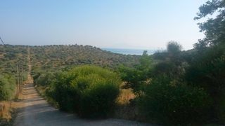 Αγροτεμάχια 4.420 τ.μ. για πώληση, Ν. Καβάλας, Θάσος-thumb-7