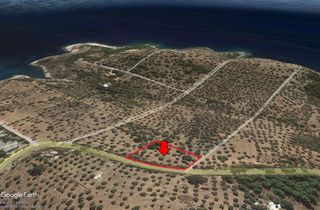 Αγροτεμάχια 4.420 τ.μ. για πώληση, Ν. Καβάλας, Θάσος-thumb-2