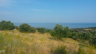 Αγροτεμάχια 4.420 τ.μ. για πώληση, Ν. Καβάλας, Θάσος-thumb-4