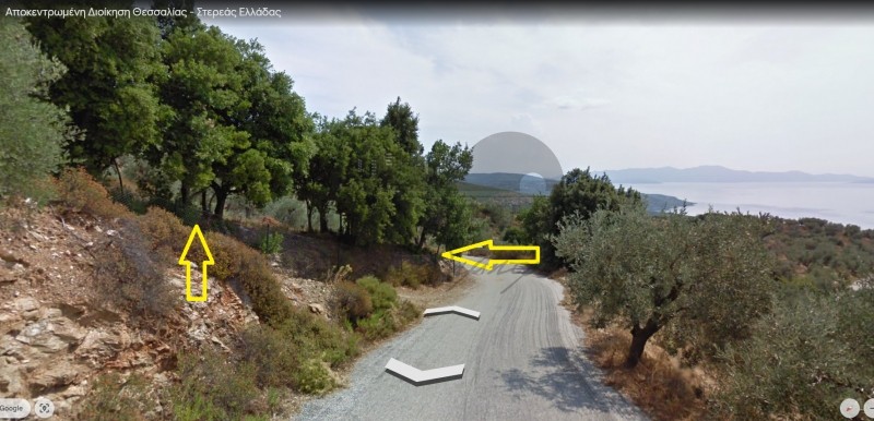Αγροτεμάχια 12.688 τ.μ. πρός πώληση, Μαγνησία, Αφέτες