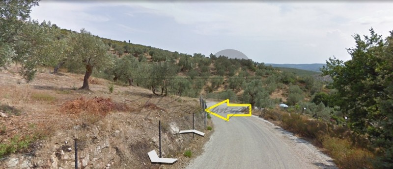 Αγροτεμάχια 12.688 τ.μ. πρός πώληση, Μαγνησία, Αφέτες