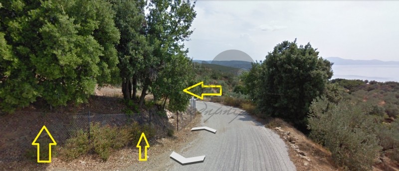 Αγροτεμάχια 12.688 τ.μ. πρός πώληση, Μαγνησία, Αφέτες
