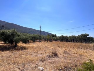Αγροτεμάχια 16.000 τ.μ. προς πώληση, Σκάλα Καλλιράχης-thumb-2