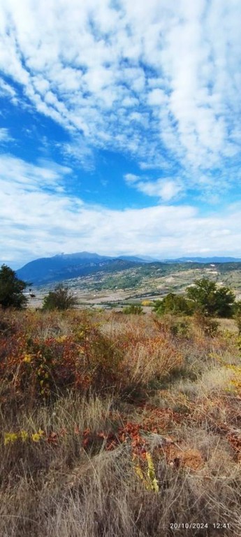 Αγροτεμάχια 5.000 τ.μ. πρός πώληση, Κορινθία, Σικυώνα