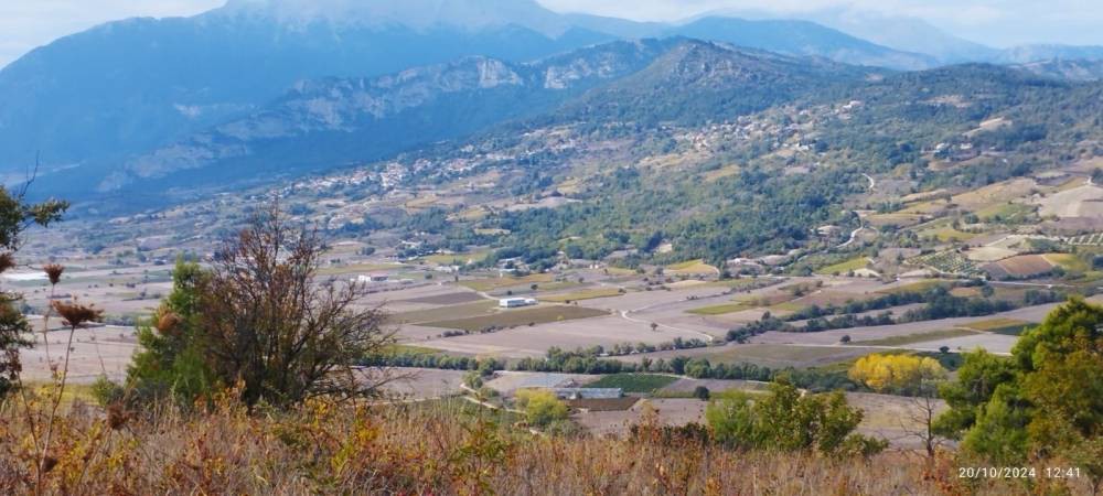 Αγροτεμάχια 5.000 τ.μ. πρός πώληση, Κορινθία, Σικυώνα