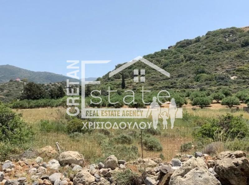 Οικόπεδο 40.000 τ.μ. πρός πώληση, Ν. Λασιθίου, Σητεία