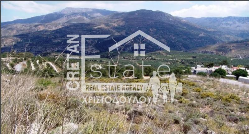 Οικόπεδο 4.450 τ.μ. πρός πώληση, Ν. Λασιθίου, Σητεία