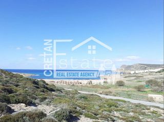 Αγροτεμάχια 4.050 τ.μ. για πώληση