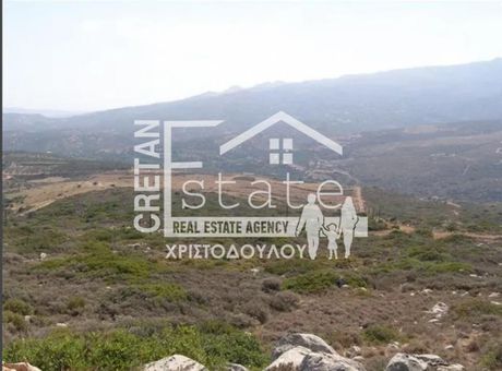 Οικόπεδο 180.000 τ.μ. για πώληση