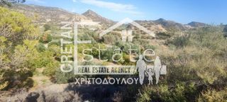 Αγροτεμάχια 4.100 τ.μ. προς πώληση, Μύρτος Ιεράπετρας-thumb-4