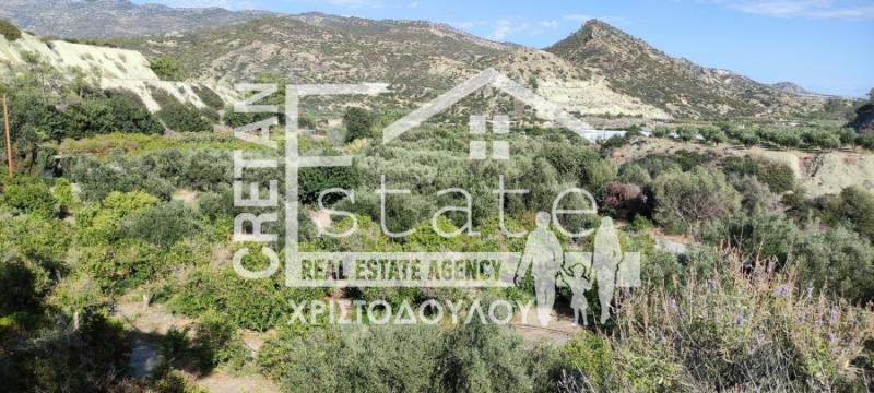 Αγροτεμάχια 4.100 τ.μ. προς πώληση, Ν. Λασιθίου, Ιεράπετρα
