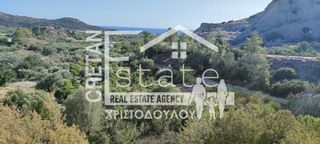Αγροτεμάχια 4.100 τ.μ. προς πώληση, Μύρτος Ιεράπετρας-thumb-5