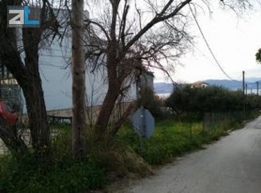 Οικόπεδο 1.000 τ.μ. προς πώληση, Αχαΐα, Ρίο
