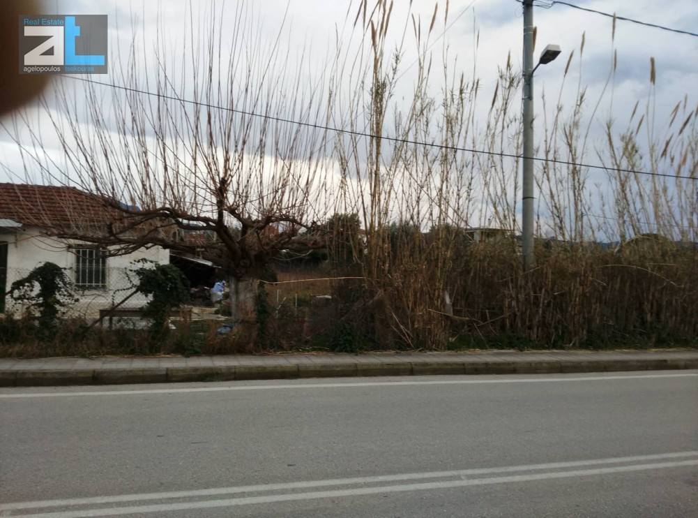 Οικόπεδο 6.640 τ.μ. προς πώληση, Αχαΐα, Παραλία