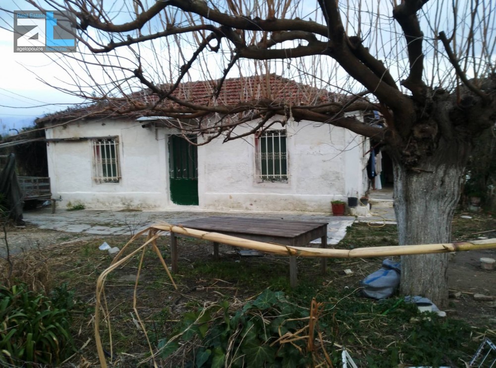 Οικόπεδο 6.640 τ.μ. προς πώληση, Αχαΐα, Παραλία