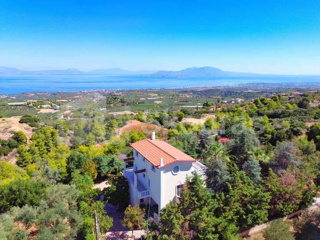 Μονοκατοικία 286 τ.μ. προς πώληση, Λαλιώτης