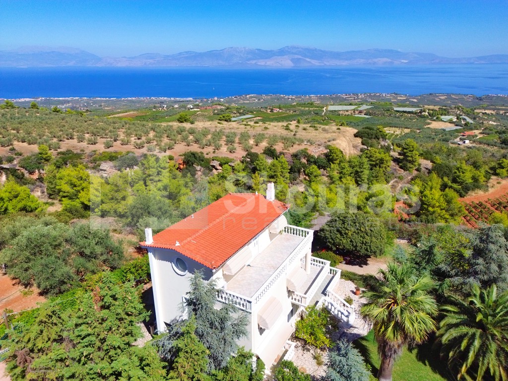 Μονοκατοικία 286 τ.μ. προς πώληση, Λαλιώτης