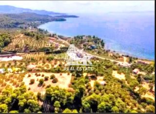 Αγροτεμάχια 6.900 τ.μ. για πώληση