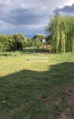 Μονοκατοικία 148 τ.μ. προς πώληση, Καλλιρρόη Μελιγαλά-thumb-18