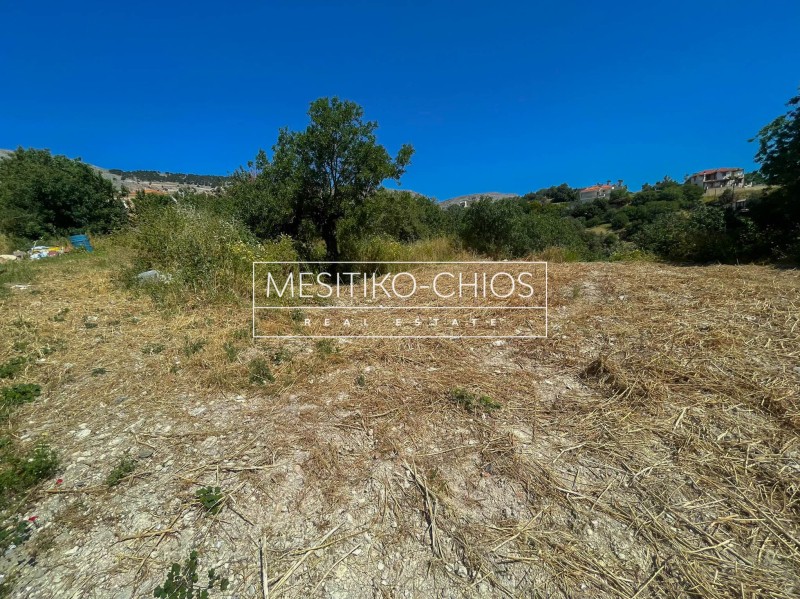Οικόπεδο 956,25 τ.μ. προς πώληση, Ομηρούπολη