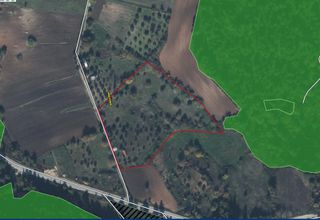 Οικόπεδο 12.313 τ.μ. για πώληση, Εύβοια, Λιχάδα-thumb-3
