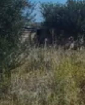 Οικόπεδο 235τ.μ. για πώληση-Γλυφάδα » Τερψιθέα