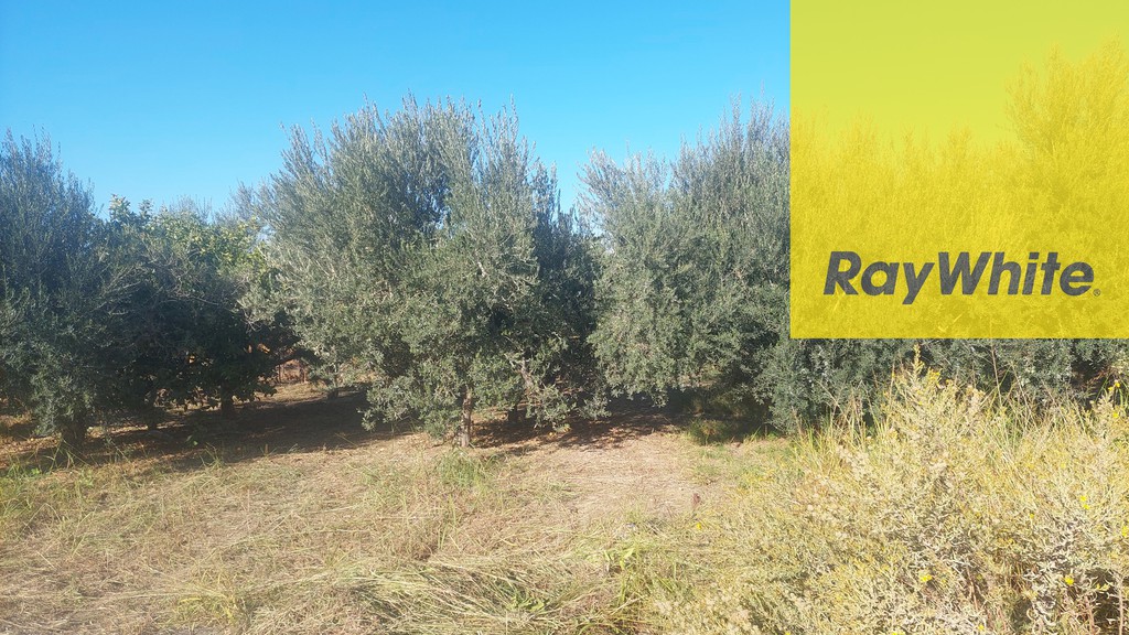 Οικόπεδο 400 τ.μ. προς πώληση, Κάτω Λουτρό