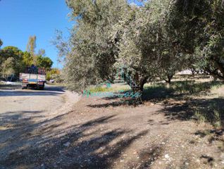 Οικόπεδο 1.000 τ.μ. για ενοικίαση, Αχαΐα, Ρίο-thumb-5