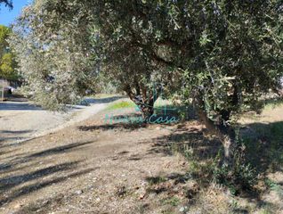 Οικόπεδο 1.000 τ.μ. για ενοικίαση, Αχαΐα, Ρίο-thumb-6