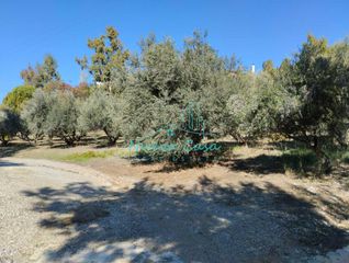 Οικόπεδο 1.000 τ.μ. για ενοικίαση, Αχαΐα, Ρίο-thumb-8