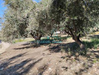Οικόπεδο 1.000 τ.μ. για ενοικίαση, Αχαΐα, Ρίο-thumb-2