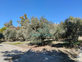 Οικόπεδο 1.000 τ.μ. για ενοικίαση, Αχαΐα, Ρίο-thumb-18