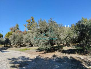 Οικόπεδο 1.000 τ.μ. για ενοικίαση, Αχαΐα, Ρίο-thumb-17