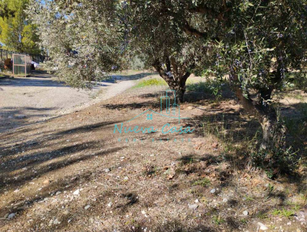 Οικόπεδο 1.000 τ.μ. για ενοικίαση, Αχαΐα, Ρίο