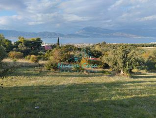 Οικόπεδο 11.500 τ.μ. για πώληση, Αχαΐα, Ρίο-thumb-7