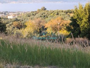 Οικόπεδο 11.500 τ.μ. για πώληση, Αχαΐα, Ρίο-thumb-20