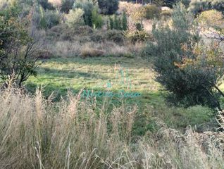 Οικόπεδο 11.500 τ.μ. για πώληση