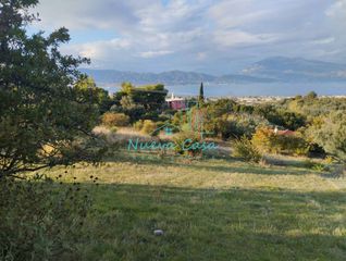 Οικόπεδο 11.500 τ.μ. για πώληση, Αχαΐα, Ρίο-thumb-9