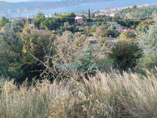 Οικόπεδο 11.500 τ.μ. για πώληση, Αχαΐα, Ρίο-thumb-6