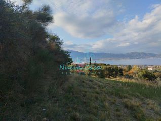 Οικόπεδο 11.500 τ.μ. για πώληση, Αχαΐα, Ρίο-thumb-17