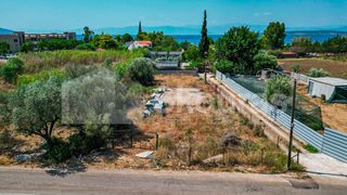 Οικόπεδο 780 τ.μ. πρός πώληση, Αργολίδα, Ασίνη-thumb-11