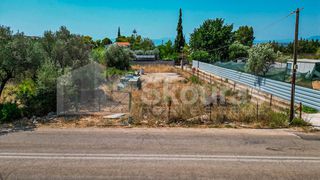 Οικόπεδο 780 τ.μ. πρός πώληση, Αργολίδα, Ασίνη-thumb-8