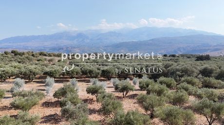 Οικόπεδο 2.742 τ.μ. για πώληση