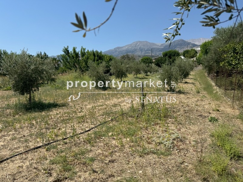 Οικόπεδο 1.183 τ.μ. προς πώληση, Πεμόνια