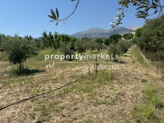 Οικόπεδο 1.183 τ.μ. για πώληση, Ν. Χανίων, Φρέ-thumb-3