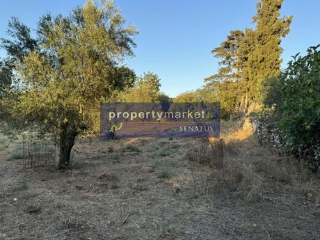 Οικόπεδο 1.200 τ.μ. για πώληση