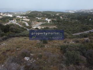 Οικόπεδο 25.500 τ.μ. για πώληση
