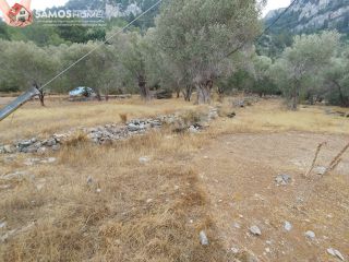 Αγροτεμάχια 3.476 τ.μ. για πώληση