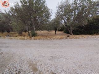 Αγροτεμάχια 3.476 τ.μ. για πώληση, Ν. Σάμου, Σάμος-thumb-1